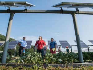 Energía solar térmica y energía geotérmica
