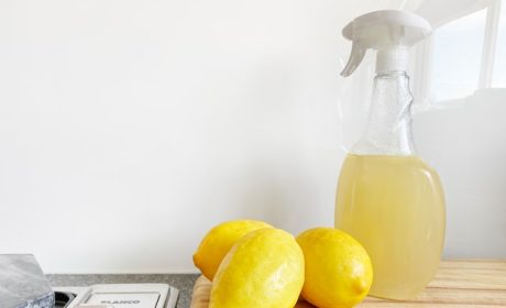 crema-joe-n5qirFAe6rQ-unsplash