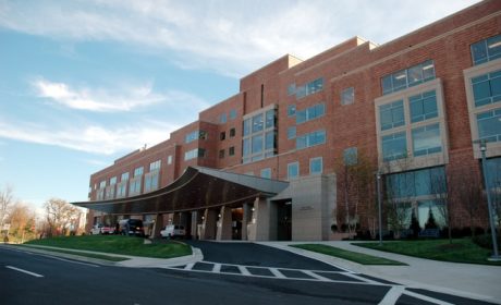 national-cancer-institute-1c8sj2IO2I4-unsplash